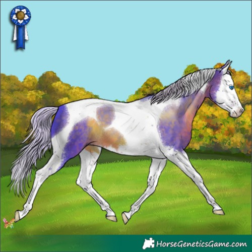 Horse Color:Watercolor Silver Brown Splash Tobiano 