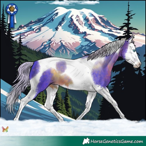 Horse Color:Watercolor Silver Brown Splash Tobiano 