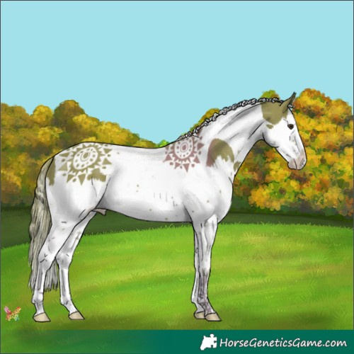 Horse Color:Watercolor Liver Chestnut Splash Tobiano 