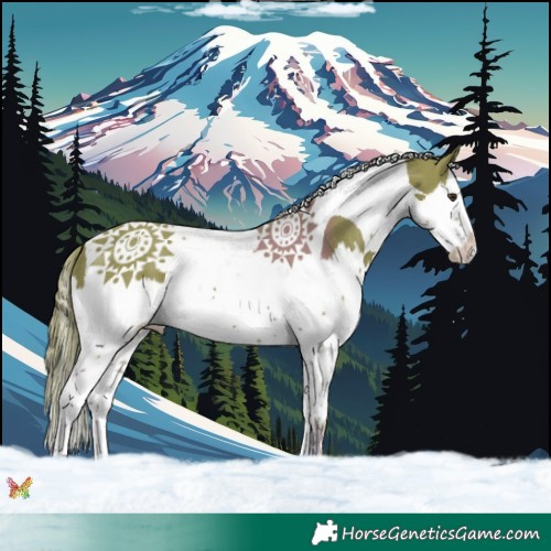 Horse Color:Watercolor Liver Chestnut Splash Tobiano 