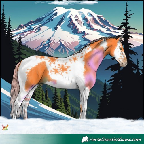 Horse Color:Watercolor Liver Chestnut Splash Tobiano 
