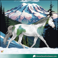 Horse Color:Watercolor Silver Brown Splash Tobiano 