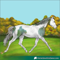 Horse Color:Watercolor Silver Brown Splash Tobiano 