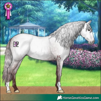 Horse Color:Gray Chocolate Black 