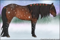 Horse Color:Bay Rabicano 