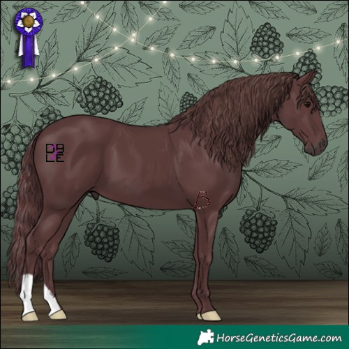 Horse Color:Chocolate Black 