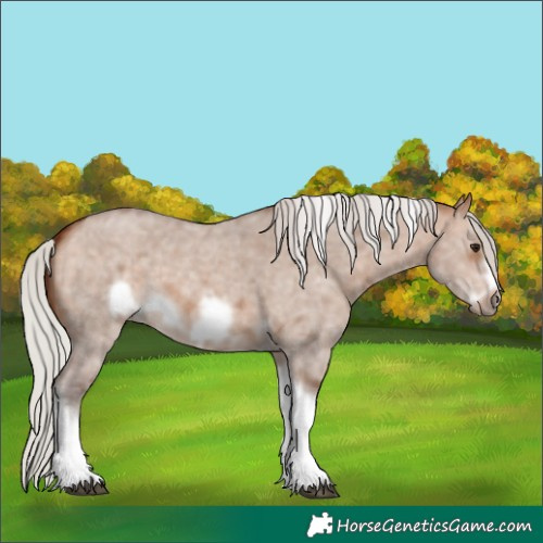 Horse Color:Silver Bay Dun Sabino Tobiano Frame Rabicano 