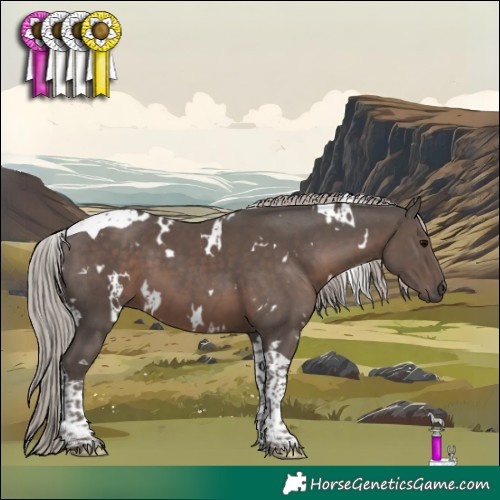 Horse Color:White Spotted Silver Black Tobiano 