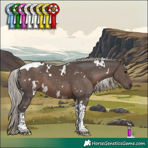 Horse Color:White Spotted Silver Black Tobiano 