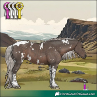Horse Color:White Spotted Silver Black Tobiano