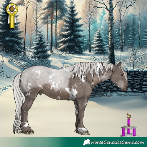 Horse Color:White Spotted Silver Black 