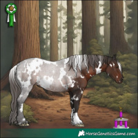 Horse Color:White Spotted Liver Chestnut 