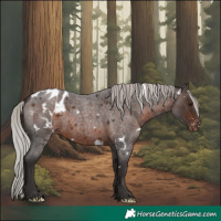 Horse Color:White Spotted Silver Brown Roan Blanket Rabicano 