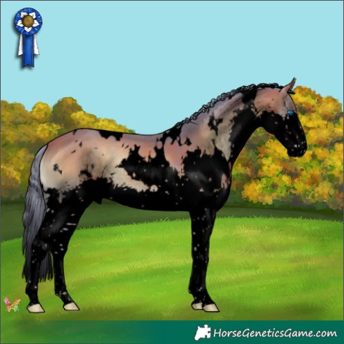 Horse Color:Void Watercolor White Spotted Brown Onyx Splash 