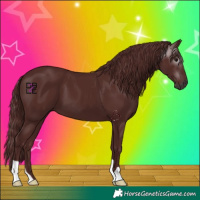 Horse Color:Gray Chocolate Black 