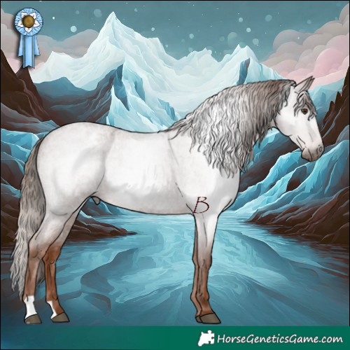 Horse Color:Gray Red Roan Appaloosa 