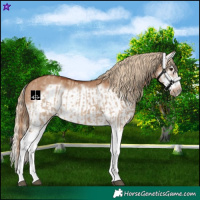 Horse Color:Red Dun Splash  and Red Dun Splash Frame 