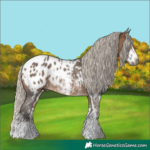 Horse Color:Gray White Spotted Silver Buckskin Sabino Blanket Rabicano