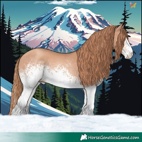 Horse Color:White Spotted Gold Champagne 