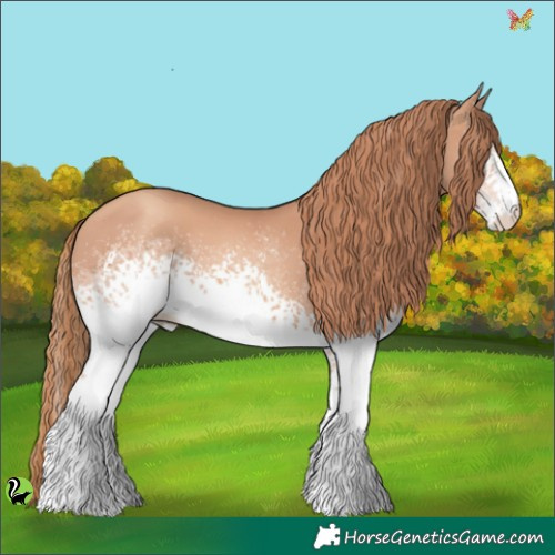 Horse Color:White Spotted Gold Champagne 
