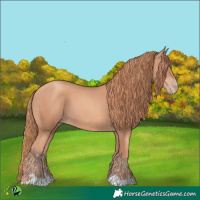 Horse Color:Gold Champagne 