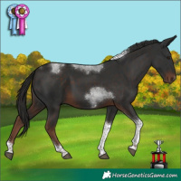 Horse Color:Liver Chestnut Tobiano 