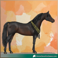 Horse Color:Brown 
