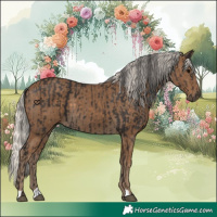 Horse Color:Smoky Black  and Silver Smoky Black 