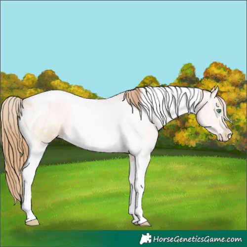 Horse Color:Smoky Blue Ice Roan Pearl Tobiano Varnish