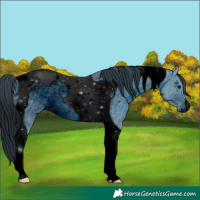 Horse Color:ERROR: UNKNOWN ANOMALY