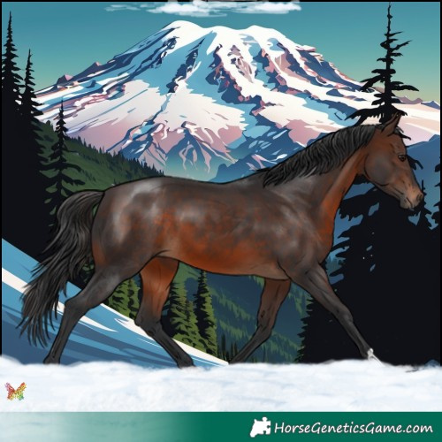 Horse Color:Brown 