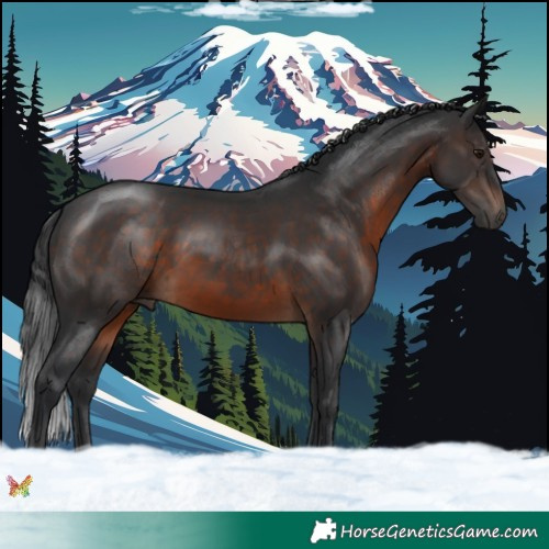 Horse Color:Brown 