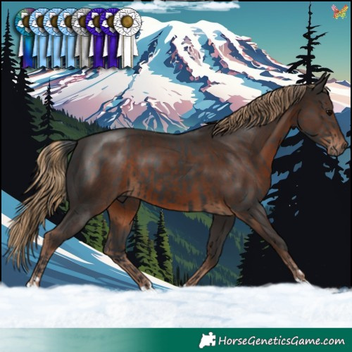 Horse Color:Black  and Liver Chestnut 