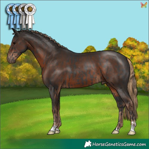 Horse Color:Black  and Liver Chestnut 