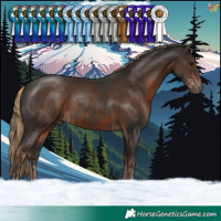 Horse Color:Black  and Liver Chestnut 