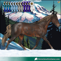 Horse Color:Black and Liver Chestnut