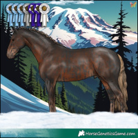 Horse Color:Black  and Liver Chestnut 
