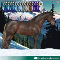 Horse Color:Black  and Liver Chestnut 