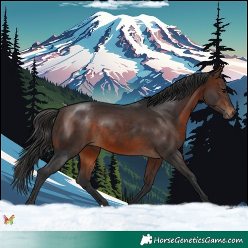 Horse Color:Brown Rabicano 