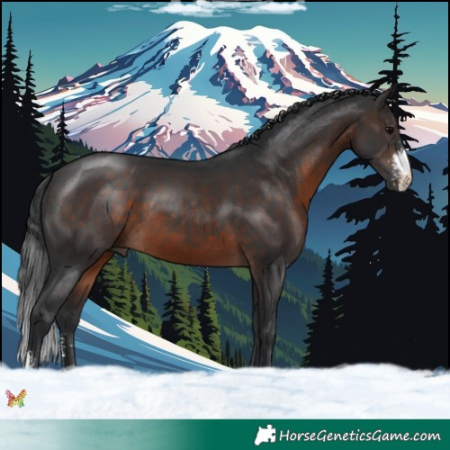 Horse Color:Brown Sabino 