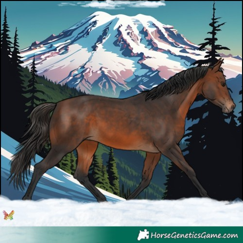 Horse Color:Brown 