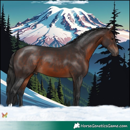 Horse Color:Brown 
