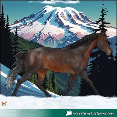 Horse Color:Brown Rabicano 