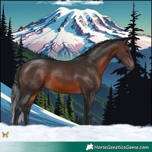 Horse Color:Brown 