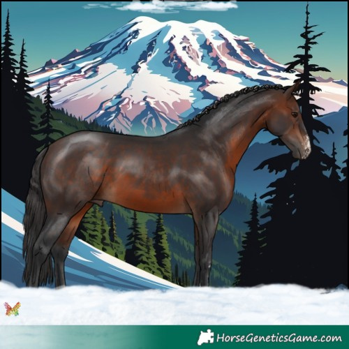 Horse Color:Brown Sabino 