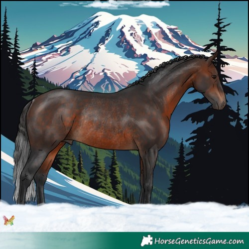 Horse Color:Brown Rabicano 