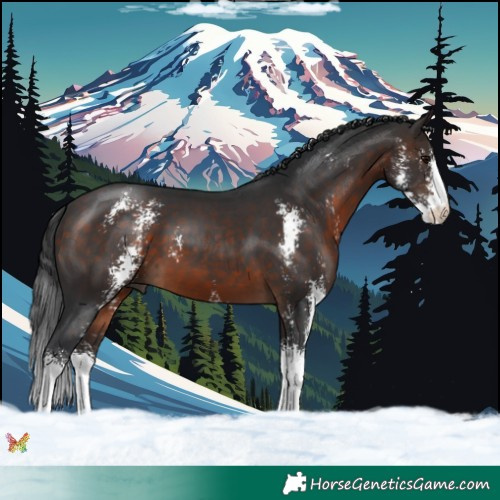 Horse Color:Brown Sabino 