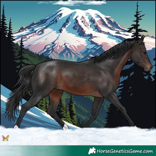 Horse Color:Brown 