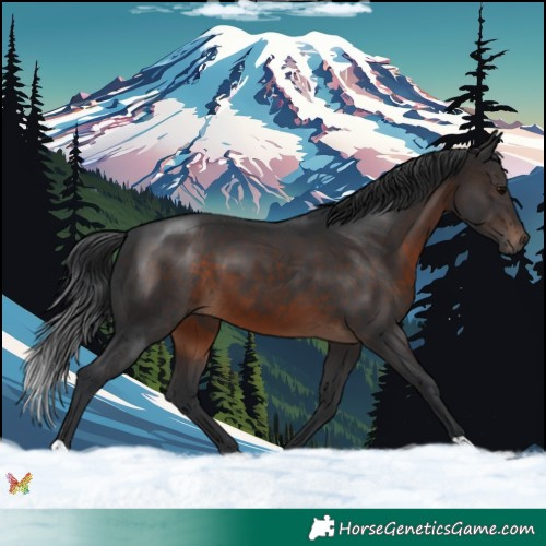 Horse Color:Brown 