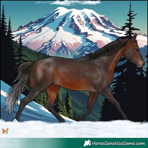 Horse Color:Brown 